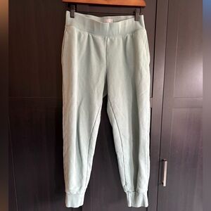 Aritzia Cozy Perfect Sweatpant TNA